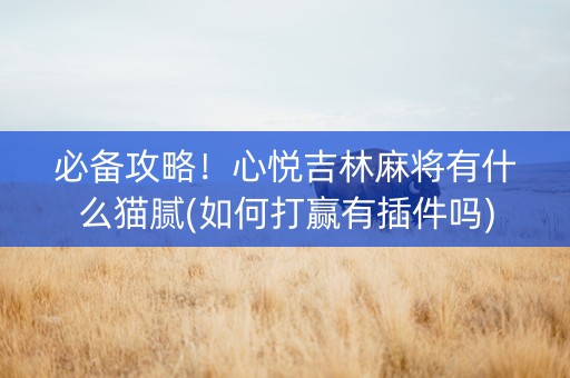 必备攻略！心悦吉林麻将有什么猫腻(如何打赢有插件吗)