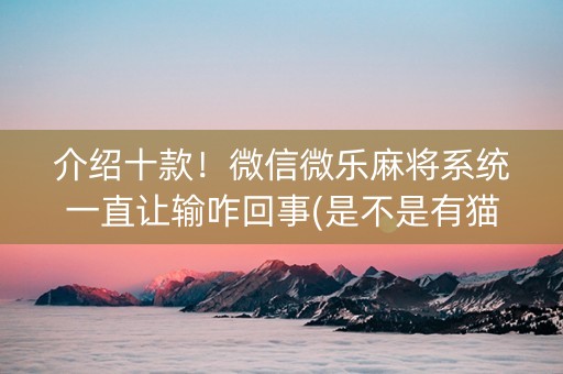介绍十款！微信微乐麻将系统一直让输咋回事(是不是有猫腻)