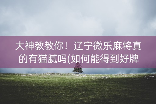 大神教教你！辽宁微乐麻将真的有猫腻吗(如何能得到好牌)