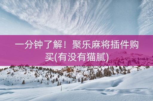 一分钟了解！聚乐麻将插件购买(有没有猫腻)