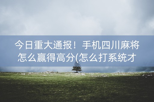 今日重大通报！手机四川麻将怎么赢得高分(怎么打系统才能给好牌)