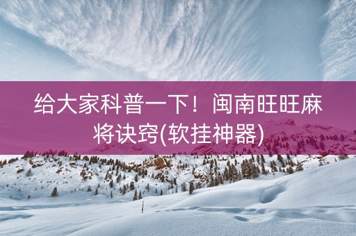 给大家科普一下！闽南旺旺麻将诀窍(软挂神器)