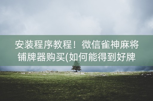 安装程序教程！微信雀神麻将铺牌器购买(如何能得到好牌)