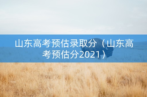 山东高考预估录取分（山东高考预估分2021）