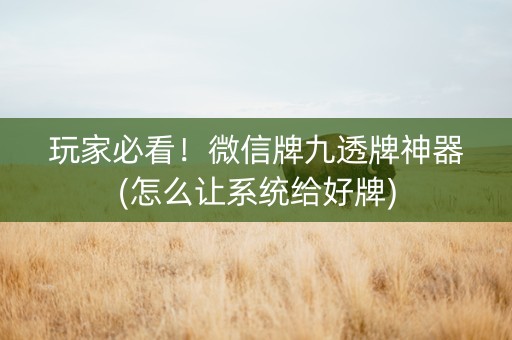 玩家必看！微信牌九透牌神器(怎么让系统给好牌)