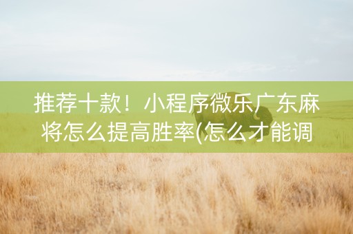 推荐十款！小程序微乐广东麻将怎么提高胜率(怎么才能调胜率)