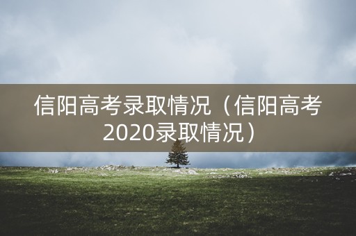 信阳高考录取情况（信阳高考2020录取情况）