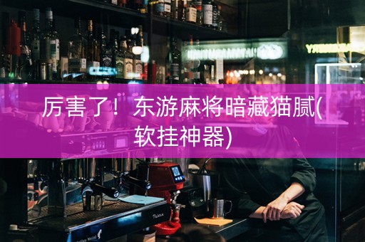 厉害了！东游麻将暗藏猫腻(软挂神器)