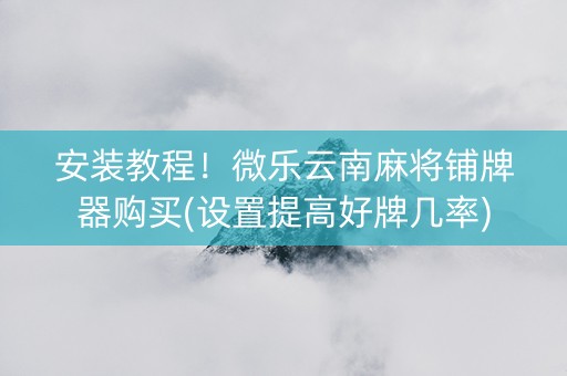 安装教程！微乐云南麻将铺牌器购买(设置提高好牌几率)