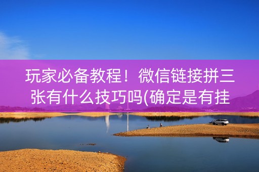 玩家必备教程！微信链接拼三张有什么技巧吗(确定是有挂)