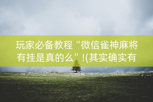 玩家必备教程“微信雀神麻将有挂是真的么”!(其实确实有挂)-抖音