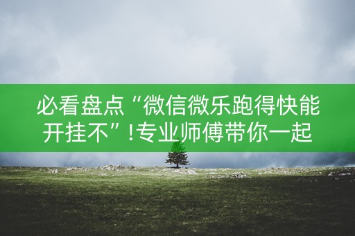 必看盘点“微信微乐跑得快能开挂不”!专业师傅带你一起了解（详细教程）-抖音