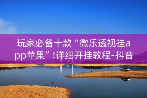 玩家必备十款“微乐透视挂app苹果”!详细开挂教程-抖音