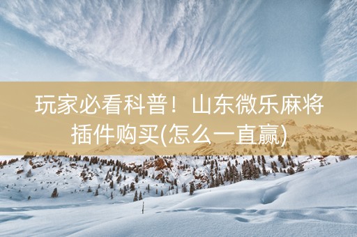 玩家必看科普！山东微乐麻将插件购买(怎么一直赢)