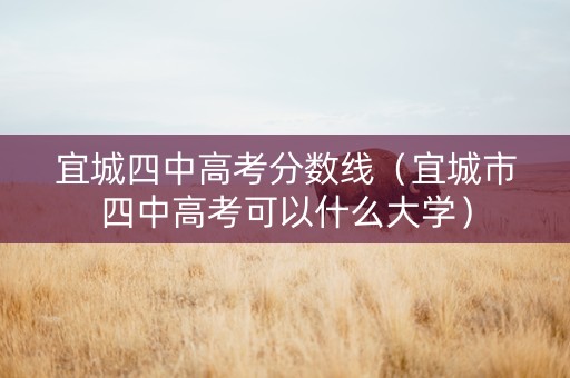 宜城四中高考分数线（宜城市四中高考可以什么大学）