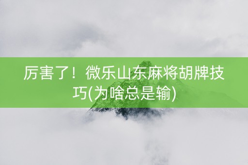 厉害了！微乐山东麻将胡牌技巧(为啥总是输)
