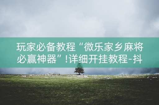 玩家必备教程“微乐家乡麻将必赢神器”!详细开挂教程-抖音