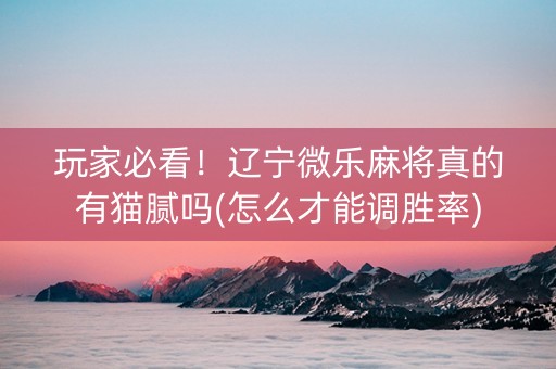 玩家必看！辽宁微乐麻将真的有猫腻吗(怎么才能调胜率)