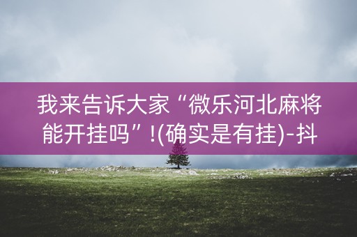 我来告诉大家“微乐河北麻将能开挂吗”!(确实是有挂)-抖音
