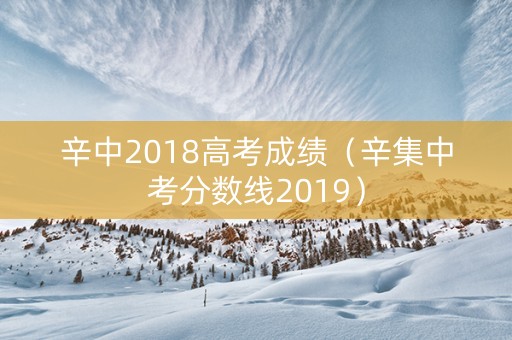辛中2018高考成绩（辛集中考分数线2019）