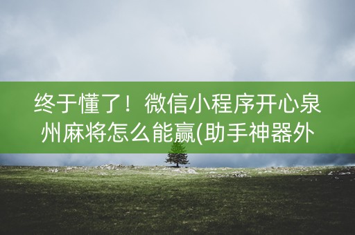 终于懂了！微信小程序开心泉州麻将怎么能赢(助手神器外辅工具)