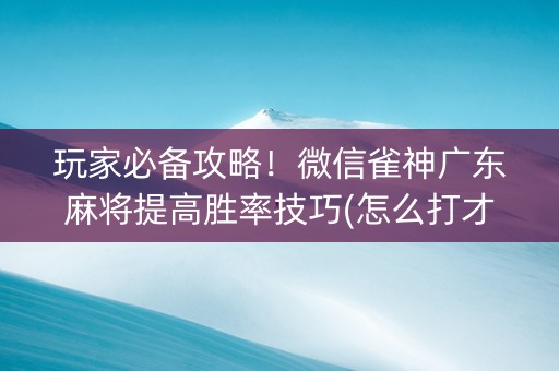 玩家必备攻略！微信雀神广东麻将提高胜率技巧(怎么打才会赢)