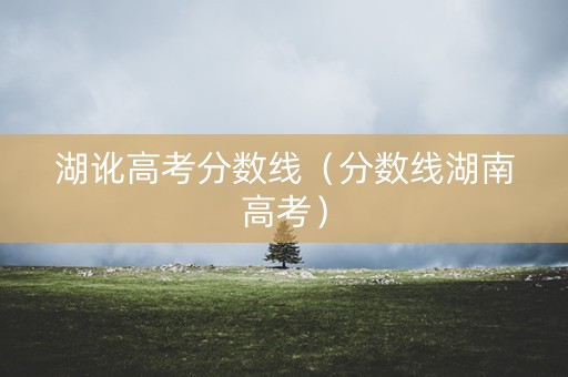 湖讹高考分数线（分数线湖南高考）