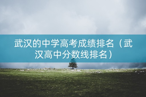 武汉的中学高考成绩排名（武汉高中分数线排名）