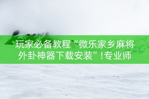 玩家必备教程“微乐家乡麻将外卦神器下载安装”!专业师傅带你一起了解（详细教程）-抖音
