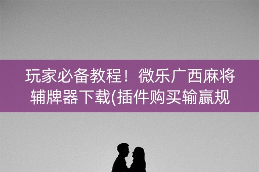 玩家必备教程！微乐广西麻将辅牌器下载(插件购买输赢规律)