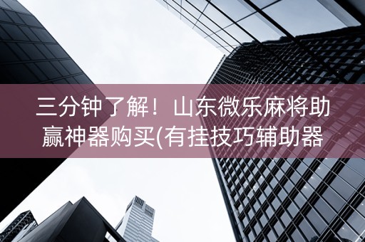 三分钟了解！山东微乐麻将助赢神器购买(有挂技巧辅助器)