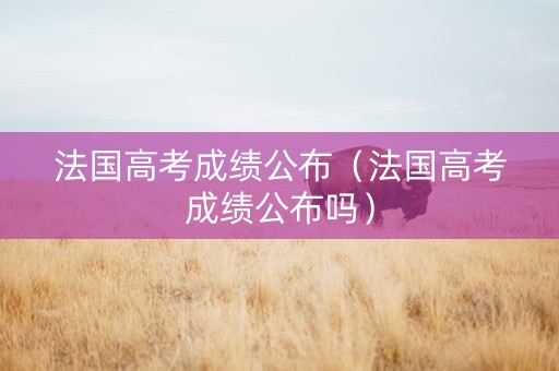 法国高考成绩公布（法国高考成绩公布吗）