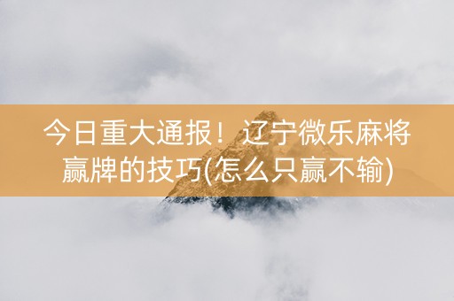 今日重大通报！辽宁微乐麻将赢牌的技巧(怎么只赢不输)