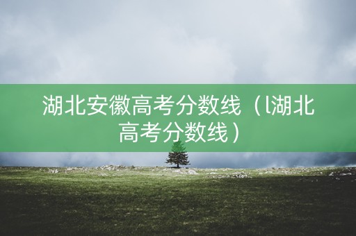 湖北安徽高考分数线（l湖北高考分数线）