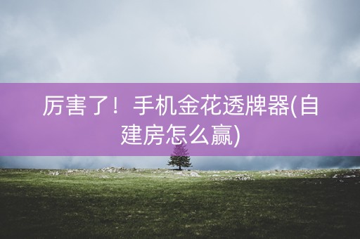 厉害了！手机金花透牌器(自建房怎么赢)