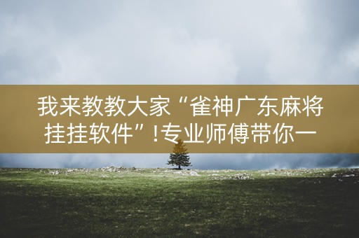 我来教教大家“雀神广东麻将挂挂软件”!专业师傅带你一起了解（详细教程）-抖音