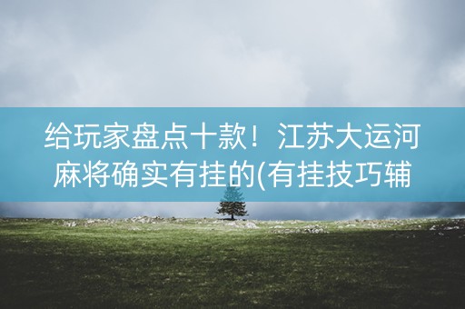 给玩家盘点十款！江苏大运河麻将确实有挂的(有挂技巧辅助器)