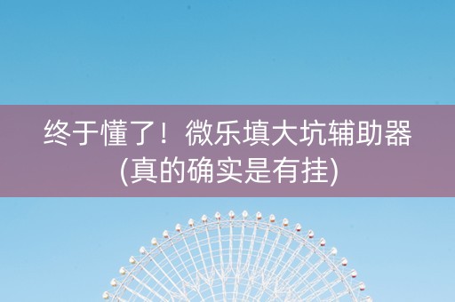 终于懂了！微乐填大坑辅助器(真的确实是有挂)