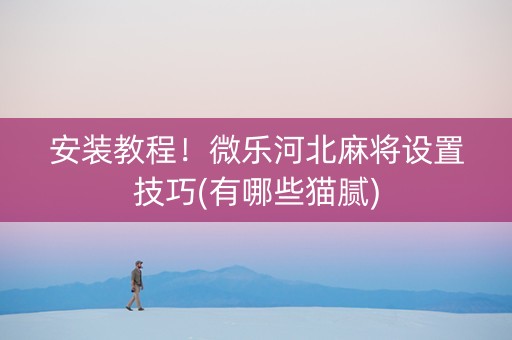 安装教程！微乐河北麻将设置技巧(有哪些猫腻)