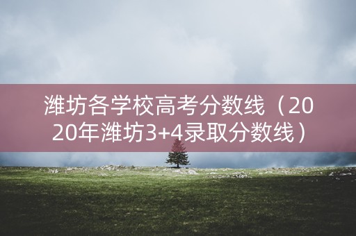 潍坊各学校高考分数线（2020年潍坊3+4录取分数线）