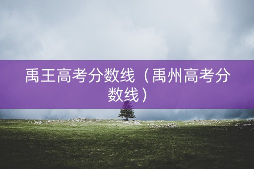 禹王高考分数线（禹州高考分数线）