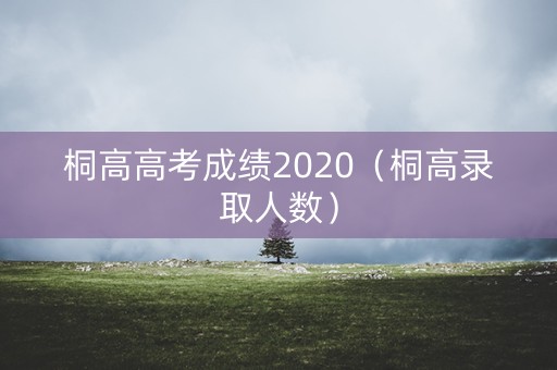 桐高高考成绩2020（桐高录取人数）