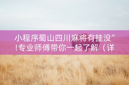小程序蜀山四川麻将有挂没”!专业师傅带你一起了解（详细教程）-抖音