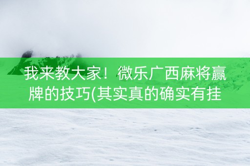 我来教大家！微乐广西麻将赢牌的技巧(其实真的确实有挂)