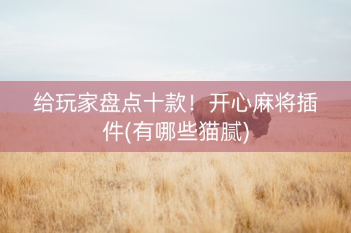 给玩家盘点十款！开心麻将插件(有哪些猫腻)