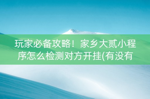 玩家必备攻略！家乡大贰小程序怎么检测对方开挂(有没有技巧)