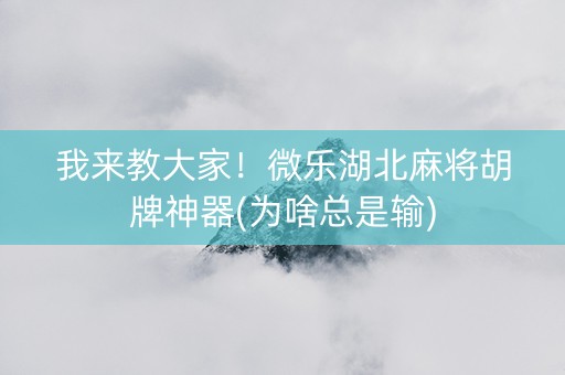 我来教大家！微乐湖北麻将胡牌神器(为啥总是输)