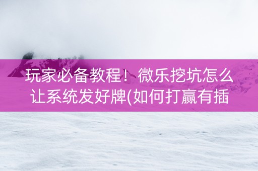 玩家必备教程！微乐挖坑怎么让系统发好牌(如何打赢有插件吗)