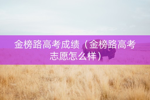 金榜路高考成绩（金榜路高考志愿怎么样）