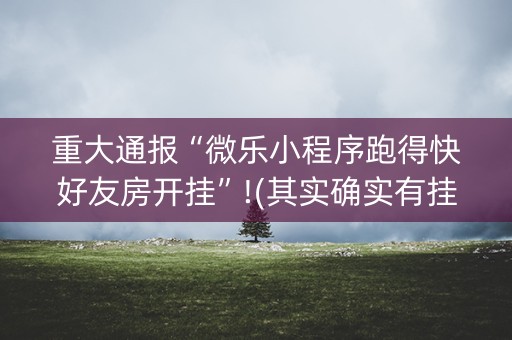 重大通报“微乐小程序跑得快好友房开挂”!(其实确实有挂)-抖音